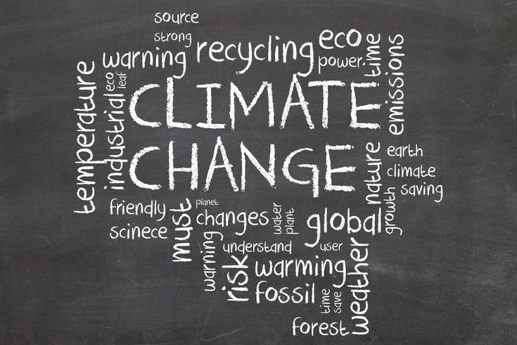 It is almost too late to save our planet
